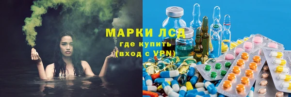 PSILOCYBIN Богородицк